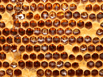 Honey testing