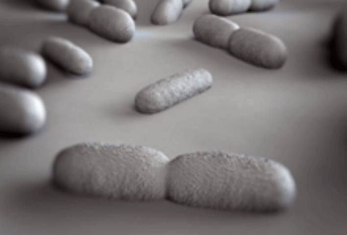 Listeria, Food Testing, Quality Testing, Food Analysis, Food Safety, Laboratory Testing Services, MMS, Metagenomic Mapping Services