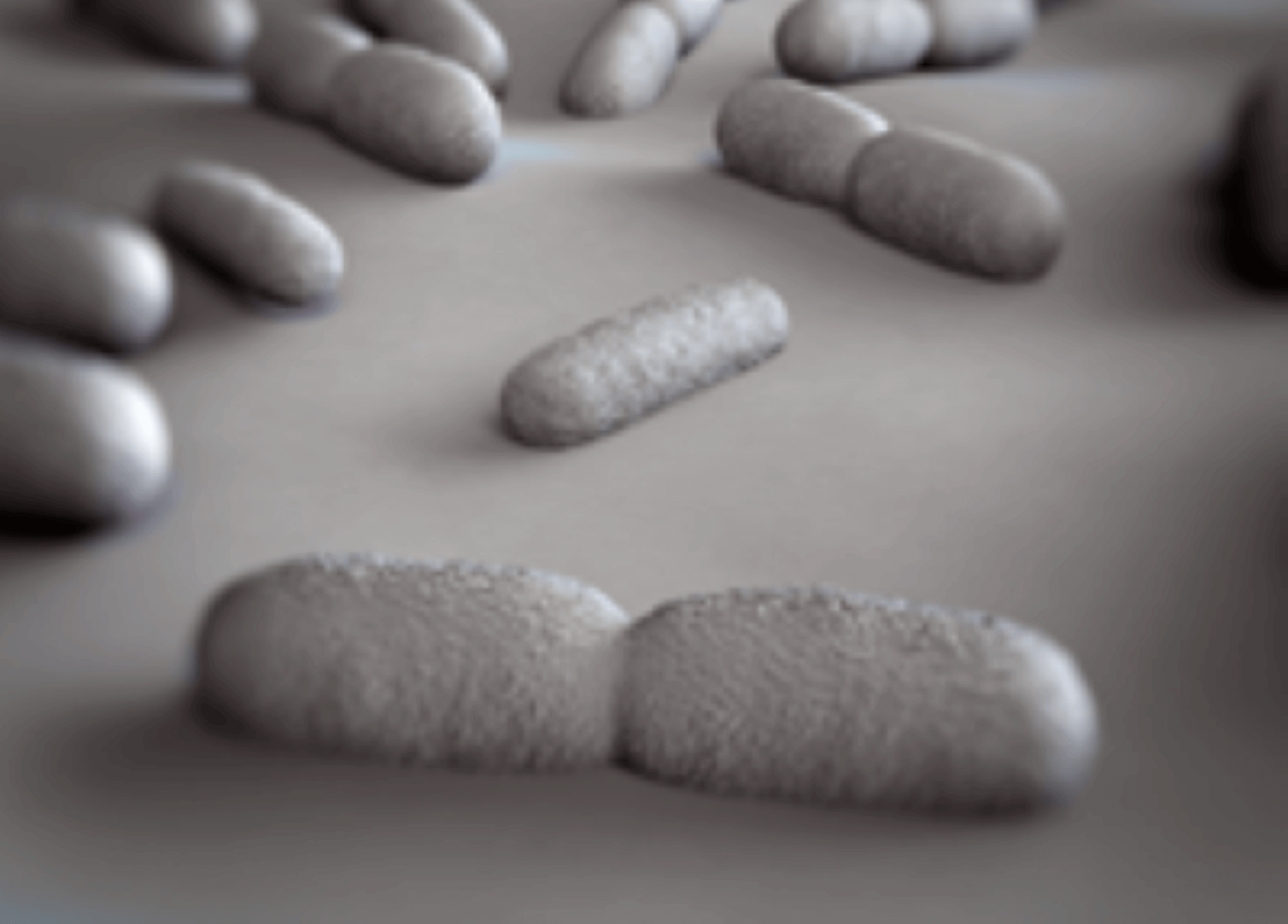 Listeria, Food Testing, Quality Testing, Food Analysis, Food Safety, Laboratory Testing Services, MMS, Metagenomic Mapping Services